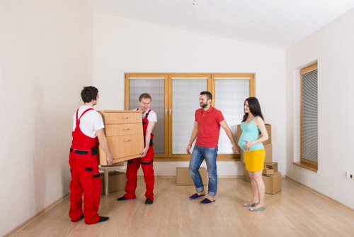Professional removals van service handling a flat move in Debeauvoirtown