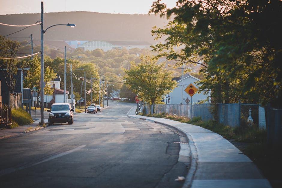 A black and white photograph of a modern, curved pedestrian bridge with wooden decking, situated in an urban environment. The bridge features white handrails on both sides and extends over a body of water, connecting two areas with the city skyline in the background. Several people are walking along the bridge, while one individual stands in the middle, and others are positioned towards the far end, possibly preparing for or already engaged in home relocation activities. The scene includes trees lining the bridge, and nearby outdoor seating with umbrellas visible on the right side. The background reveals high-rise buildings, construction cranes, and street-level activity, illustrating a lively cityscape. This setting can be associated with transport and logistical processes relevant to furniture transport, packing, and loading for house removals, highlighting the urban environment where Man with Van De Beauvoir Town operates.